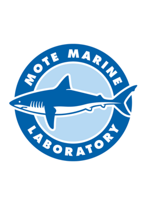 Mote Marine
